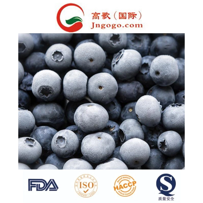 New Crops Frozen Blueberry IQF