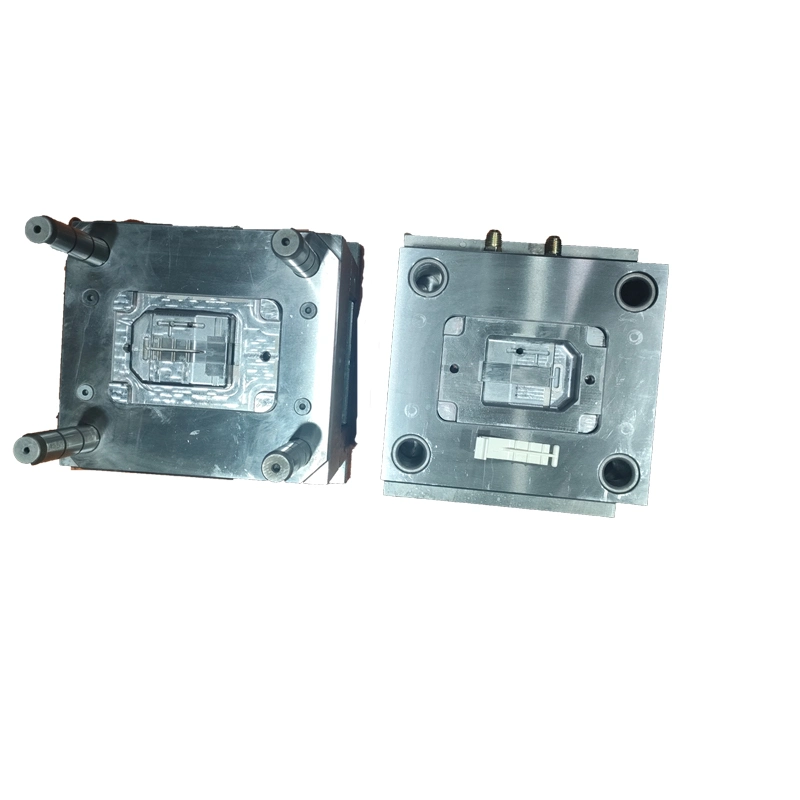 OEM Mould Manufacturer Custom Design Die Casting Tooling Parts Double Plastic Injection Mold Household Electronic Products with PP/POM in Molding