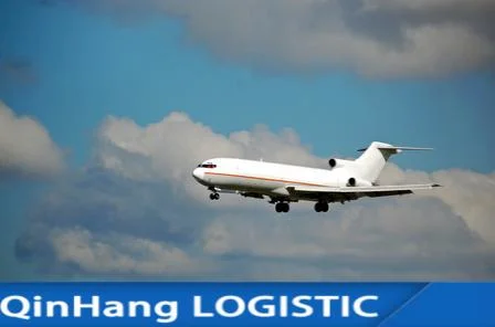Professional Freight Service Balance Car Special Line Air Freight to Europa e Estados Unidos