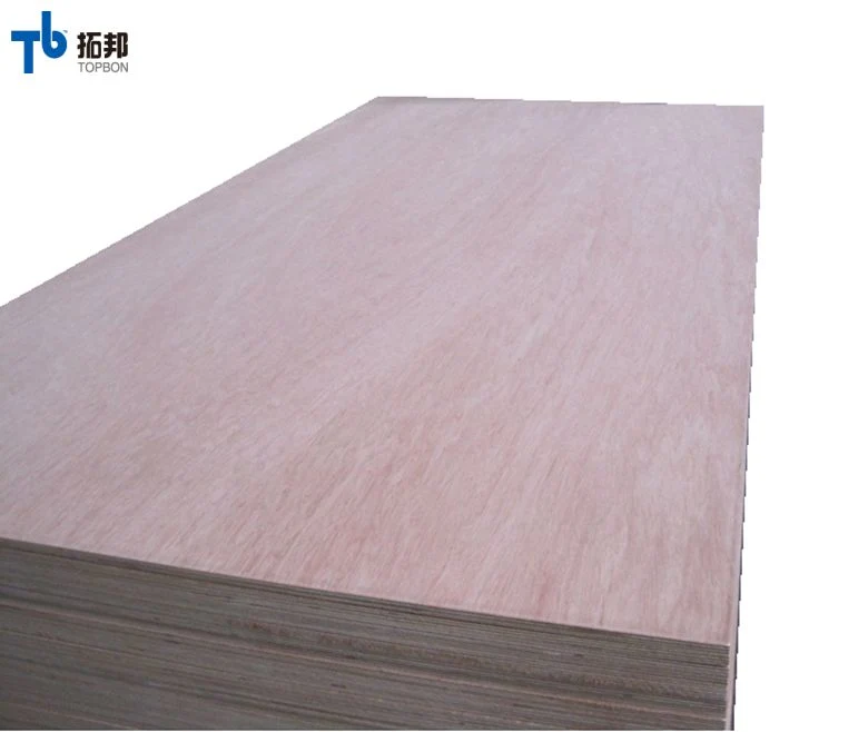 Poplar Okoume/ Bintangor/ Birch Veneered Commercial Plywood