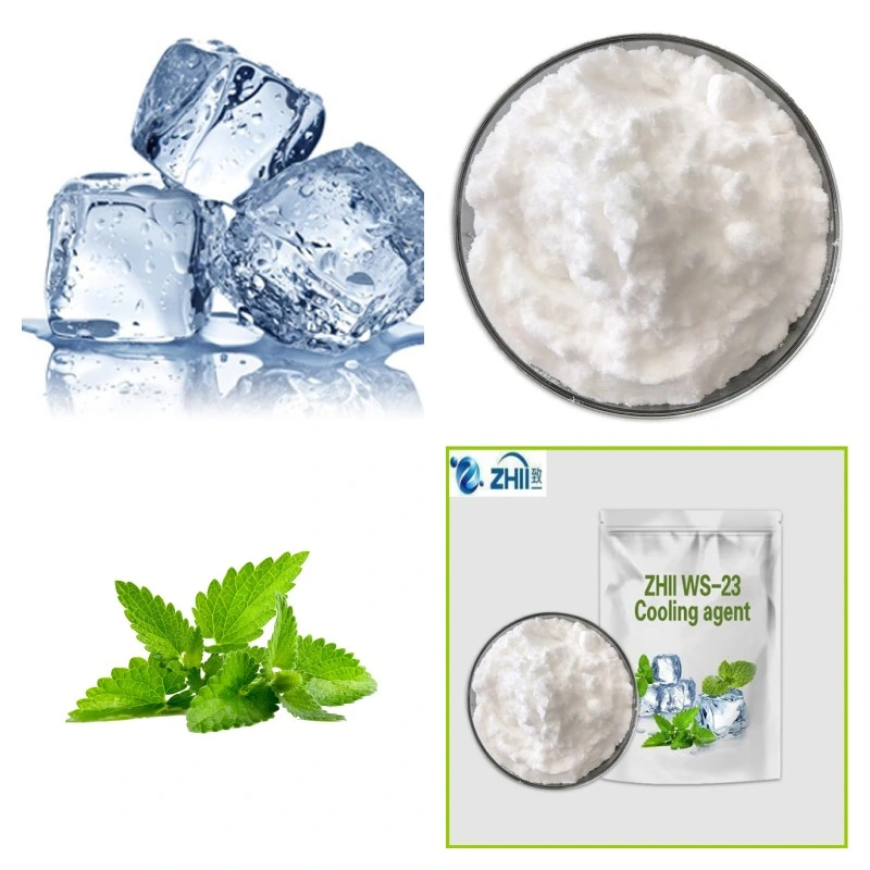 Zhii Wholesale/Supplier Bulk Price Food Grade Raw Material Menthol Crystal Ws-23 Cooling Agent