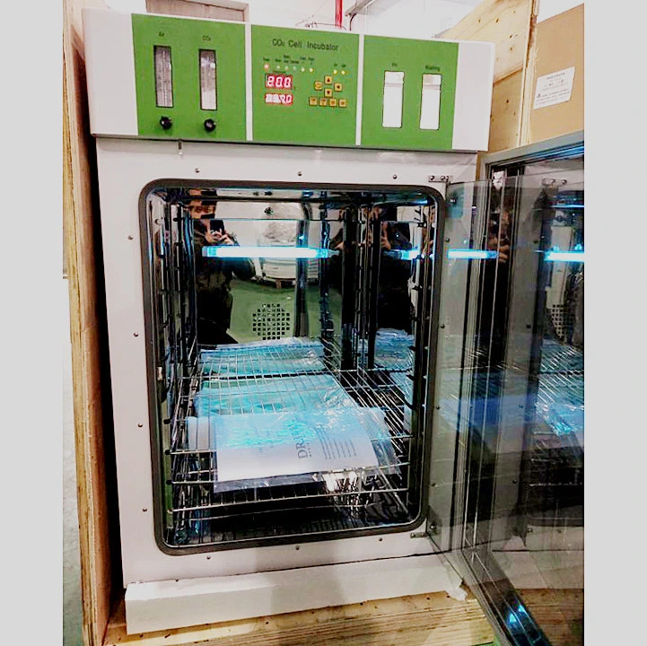 Laboratory Equipments Lab Constant Temperature Incubator Digital Temperature Control Thermostat Incubator Bacterial CO2 Incubator