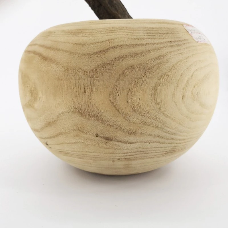 Ornament Natural Wood Artificial Apple Desktop Fake Apple Wooden Crafts