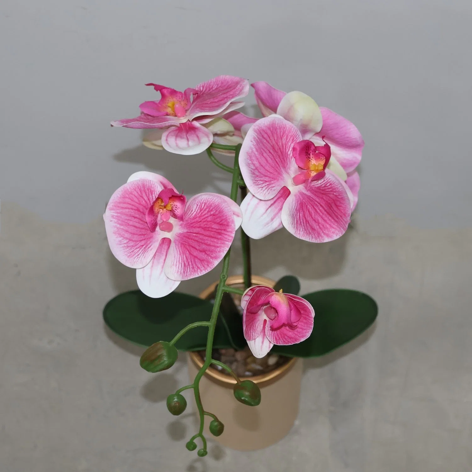 Single Orchid Artificial Flower Plastic Pink Phalaenopsis Silk Flower with High-Quality