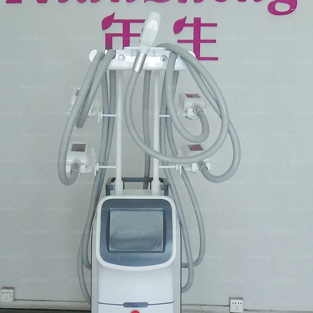 Fat Burning Cryolipolysis Weight Loss Beauty Salon Instrument