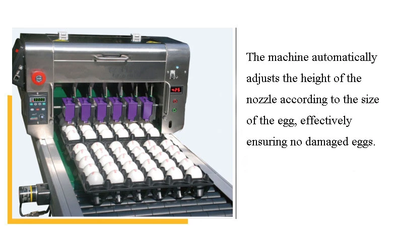 High-Precision Zero-Breakage completamente automático de la impresora de inyección de tinta de impresión de huevo huevo máquina