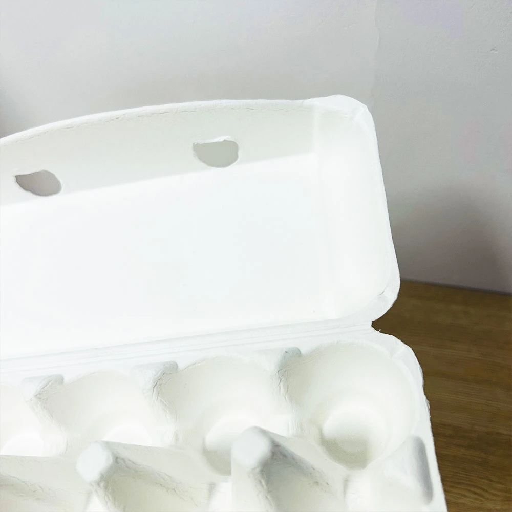 Sugarcane Bagasse Biodegradable Environmental Protection White Egg Tray Customization 10PCS