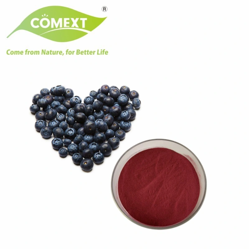 Comext European Bilberry Fruit Extract Powder 25% antocianinas para Anti-Aging