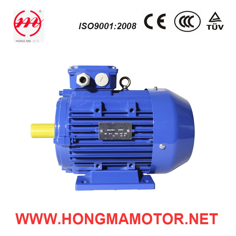 Aluminum Three Phase Variable Speed Induction Motor