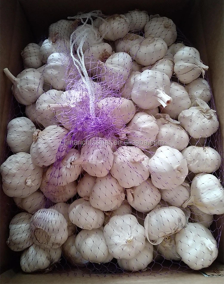 New Crop Pure White Garlic Normal White Garlic Export From China