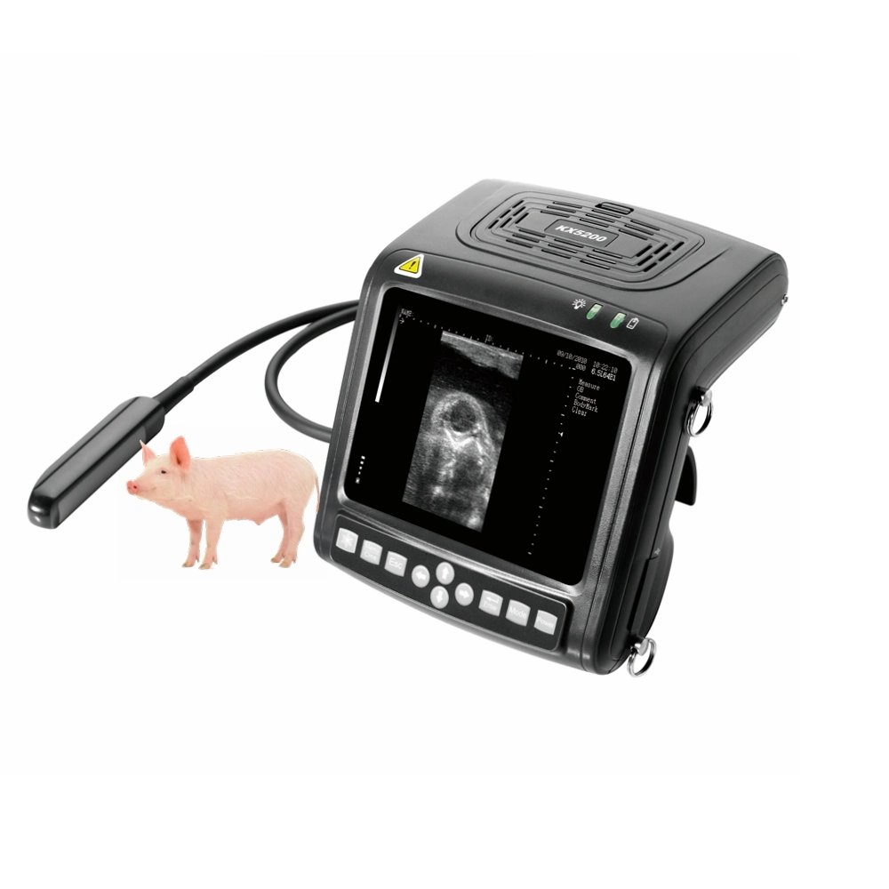 Portable Ultrasound Machine with Rectal Probe Veterinary Equipment Ultrasound for Veterinary Use