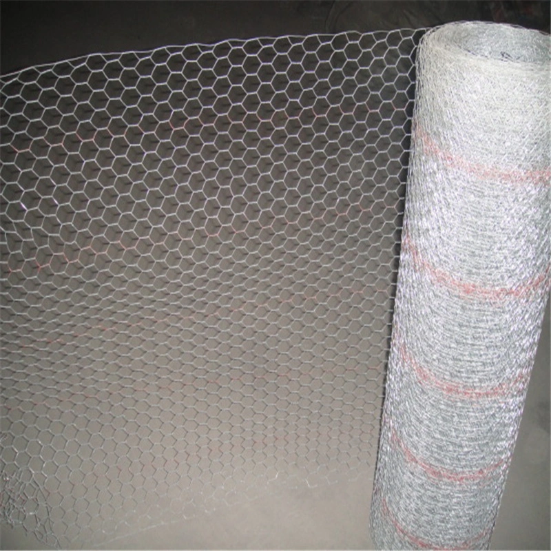 Various Sizes PVC Coated Hexagonal Wire Mesh