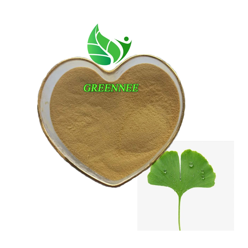 100% orgánico natural en polvo de hoja de Ginkgo Ginkgo Biloba polvo