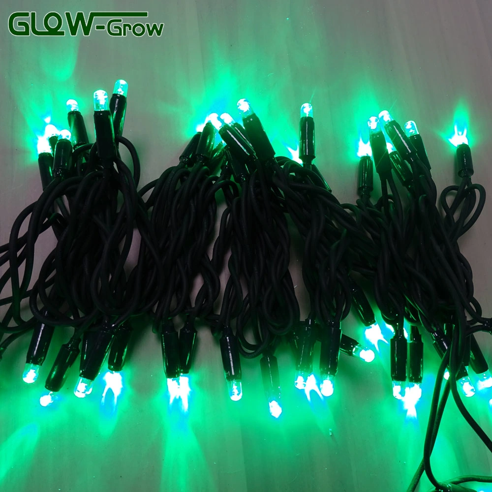 Fio de borracha LED 50LED 5m Chistmas Multicolor String Light for Decoração exterior