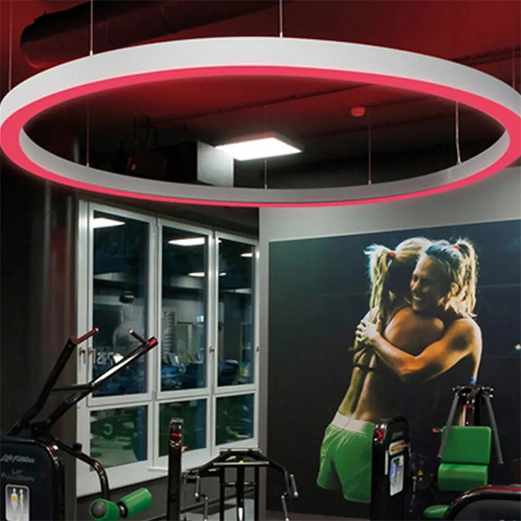 Hot Sale Curved LED Linear Pendant Lighting Aluminum Ring LED Pendant Light with RGB/RGBW Color