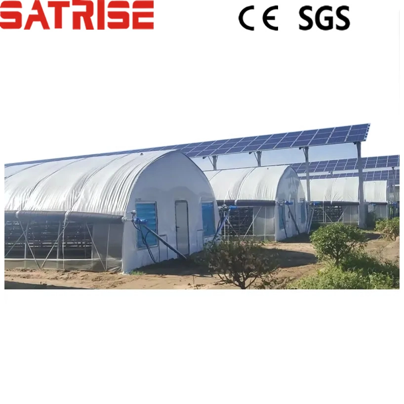 Complete Mushroom Grow Room Growing Tent Mushroom Greenhouse for Cultivation