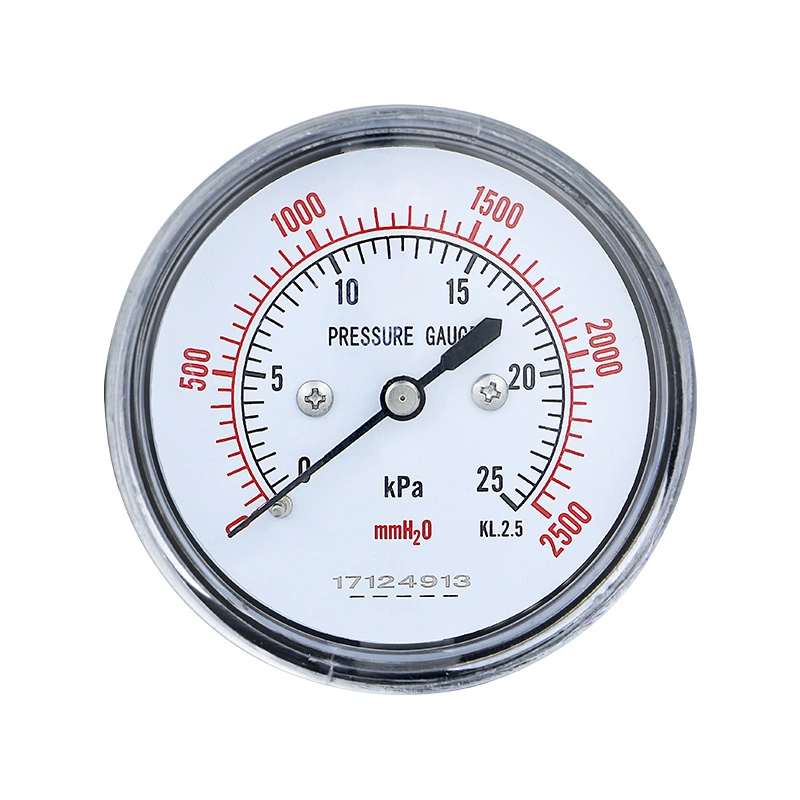 Industry Anti-Corrosion Stainless Steel Ye60z Capsule Pressure Gauge Top Quality