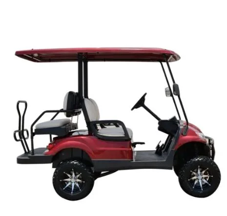 Carro de golfe elétrico elevado com LED Light de 617.2 g e controlador Curtis