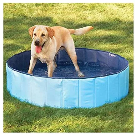 En PVC de haute qualité résistant aux rayures Chien de compagnie Piscine portable