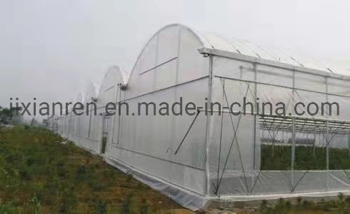 Low Cost Mini Garden Greenhouse with Plastic Film