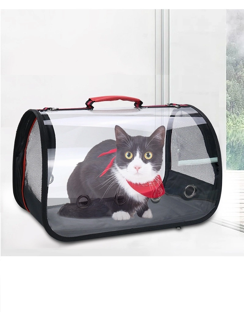 Transparent komfortabel atmungsaktiv tragbar Katze und Hund Haustier Reisen tragen Rucksack Tasche