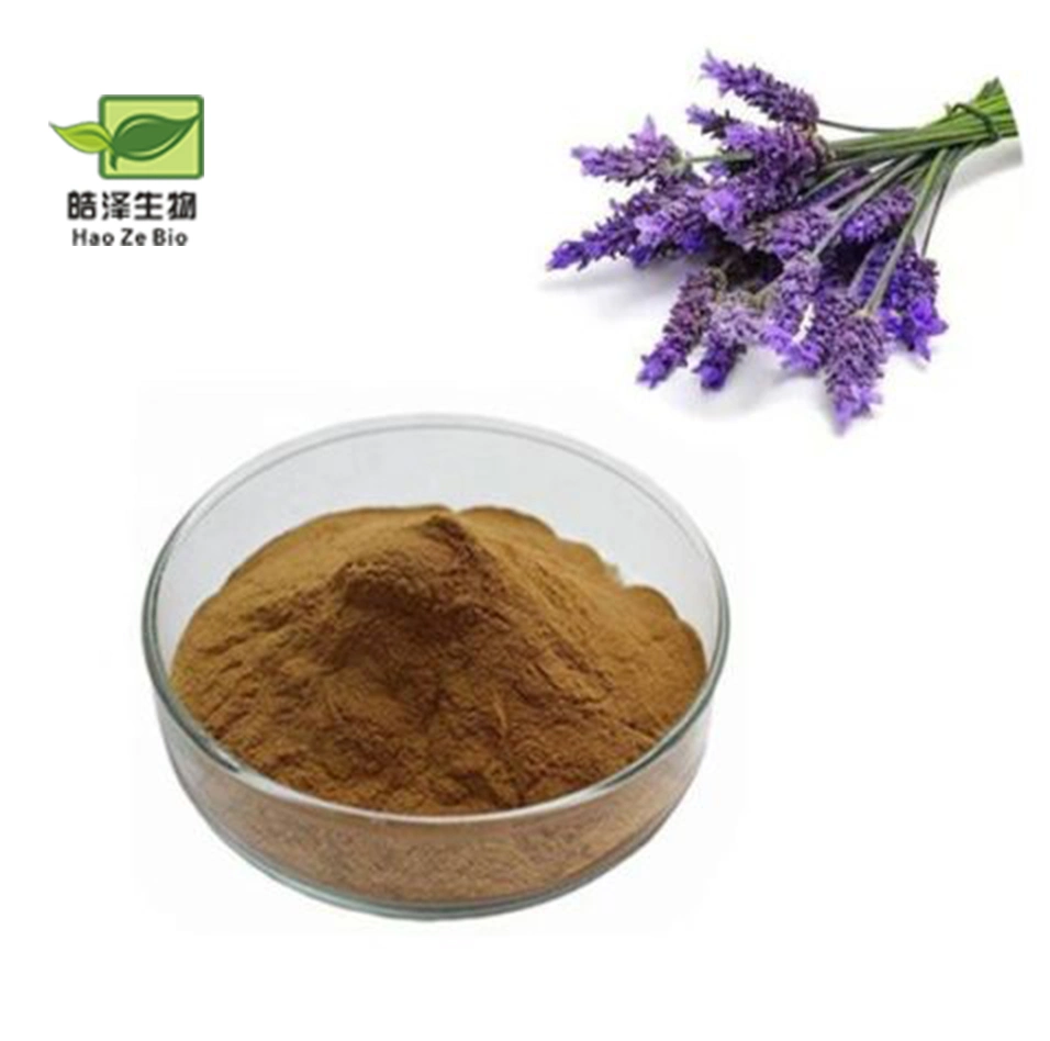 High quality/High cost performance Natural Lavandula Angustifolia Extract Powder Lavender Flavonoids Lavender Extract