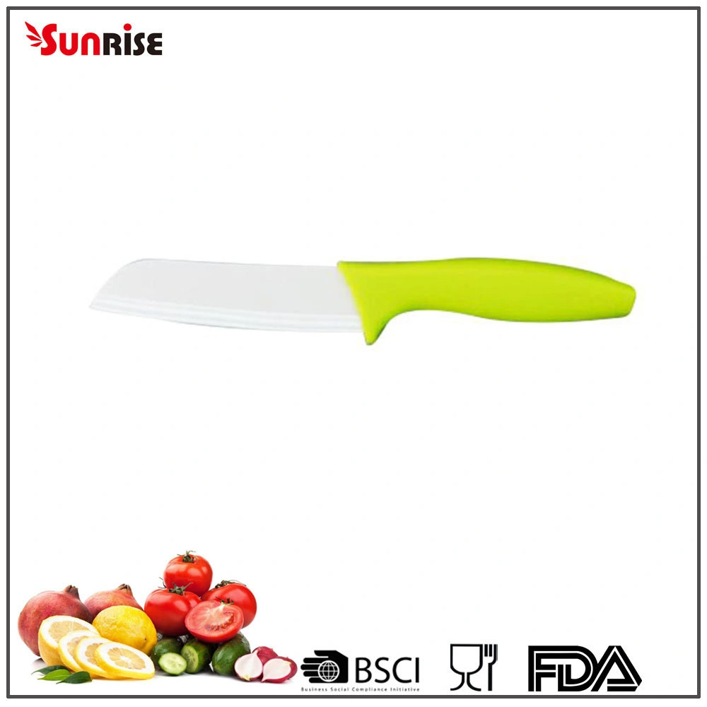 Kitchen Knife 3 Inch Ceramic Paring Knife with Plastic Handle (KCK116)