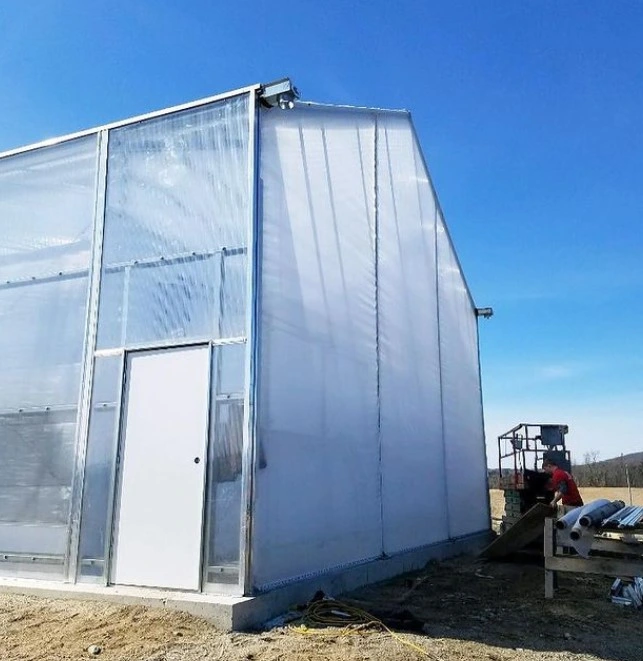 Clear 6 Mil 1 Yr Greenhouse Film 20 FT X 100 FT