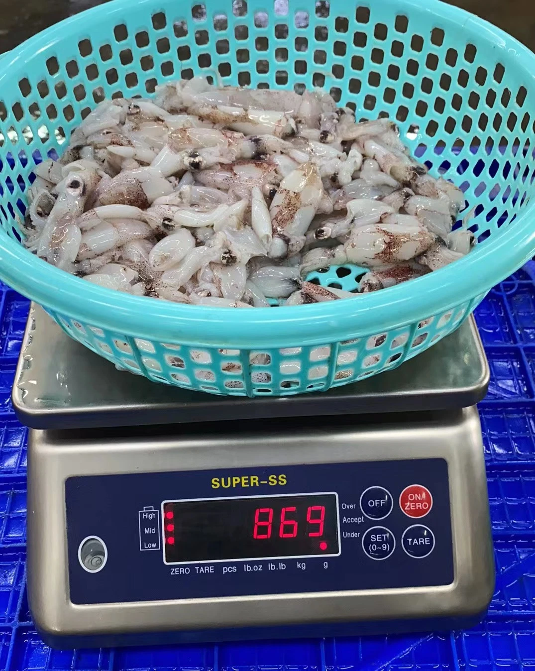 Frozen Whole Round Squid/Loligo Chinensis/ Japonica