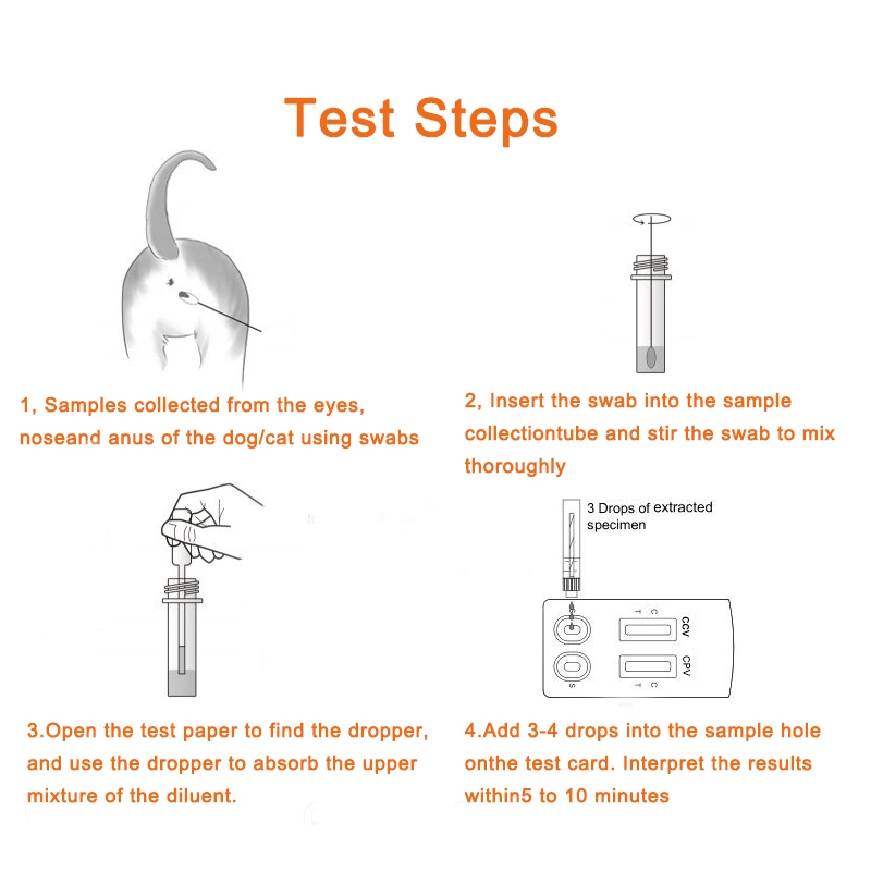 Canine Parvovirus Cpv Test Kit/Test Kit for Parvovirus