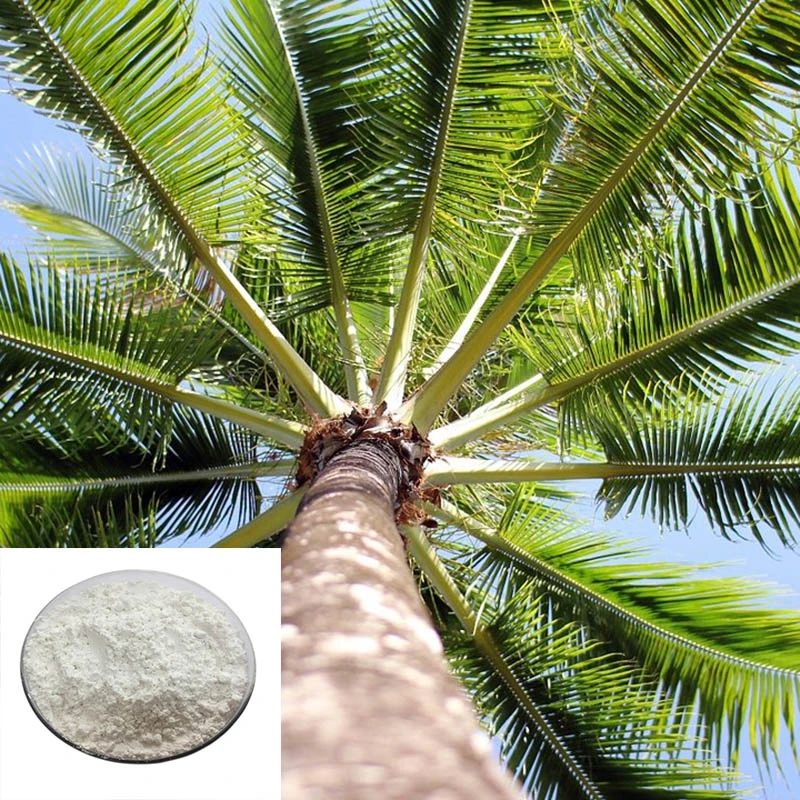 Plant Growth Hormone Naa Naphthalene Acetic Acid Increase Palm Yield