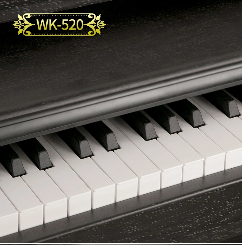 Nux Brand Wk-520 88 Keys Digital Piano for Home Intelligent (بيانو منزلي ذكي) بيانو التعليم