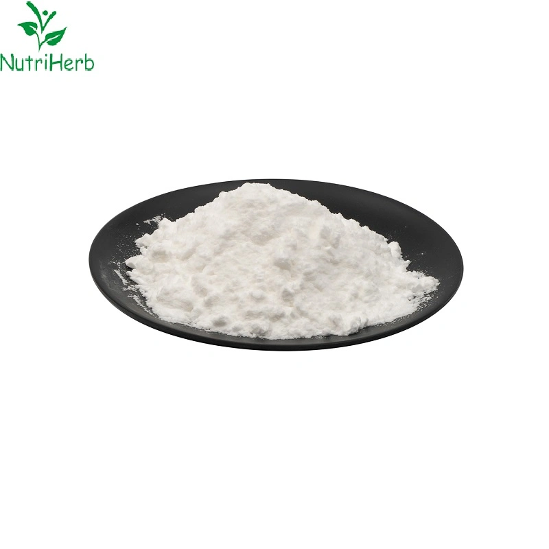 ISO Certificated Water-Soluble Tetrandrine Extract Natural Bulk Tetrandrine Powder