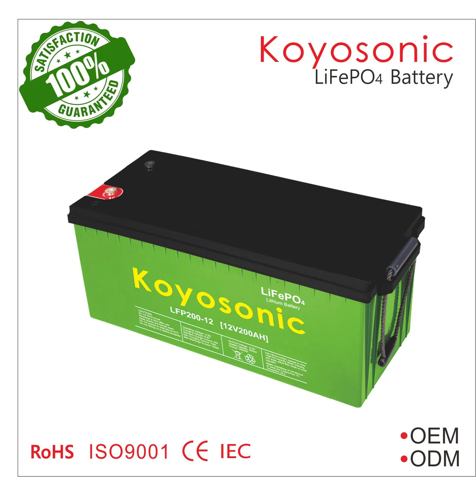 UN38,3 24V 120ah Lithium-Batterie 1c LiFePO4 Solarbatterien Pack Für Speicher-/Marine- und EV-Anwendungen