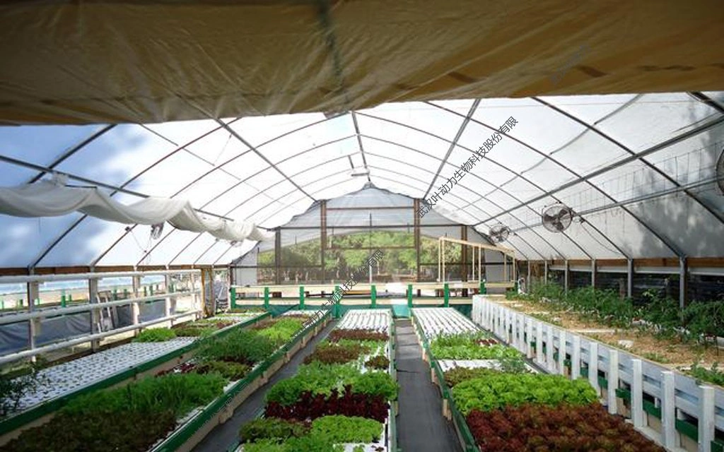 Building Materials Commercial Tunnel Pointed Shape Type Greenhouse with Internal and External Shading System for Aquaponics