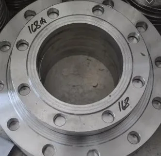 1/3customized Precision Stainless Steel 304 316 Forging Centrifugal Pump Flange Flexible Joint Flange S