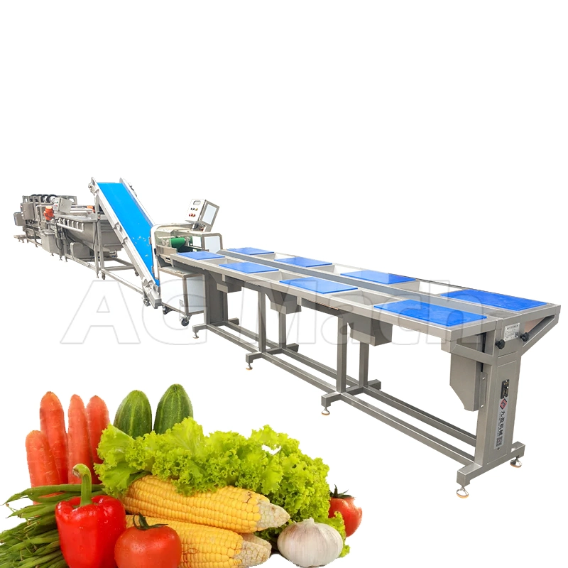 Automatic Oysters Brush Roller Cleaning Machine Fruit Washing Production Line