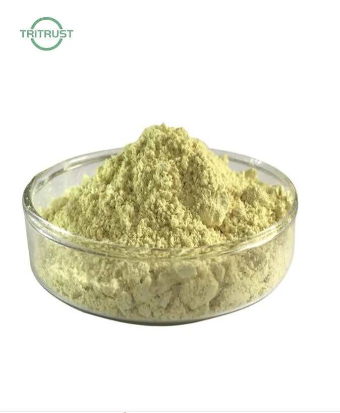 Berberine Sulfate Trihydrate/Berberine HCl Sulfate 98% CAS 316-41-6 Price Berberine Sulfate