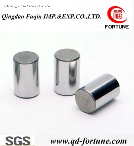 Stainless Steel Round End Needle Pin for Automotive Parts