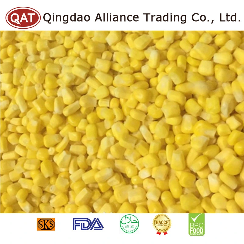 Wholesale/Supplier Bulk Price Frozen Super Sweet Corn Kernels IQF Corn with Exporting Standard