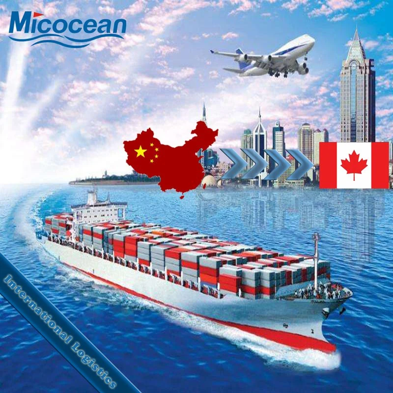 Lnternational Transportation Company LCL Fast Shipping Consolidate Service to Canada From China