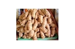 Pure Natural Panax Notoginseng Saponins 80% Powder