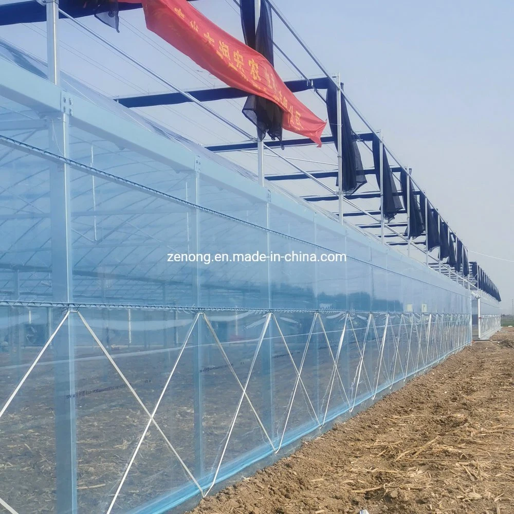 Factory Supply High Transparent Single or Double Film Greenhouse Intelligent Film Greenhouses Vegetable/Flower/Hydroponics Greenhouse for Promotion