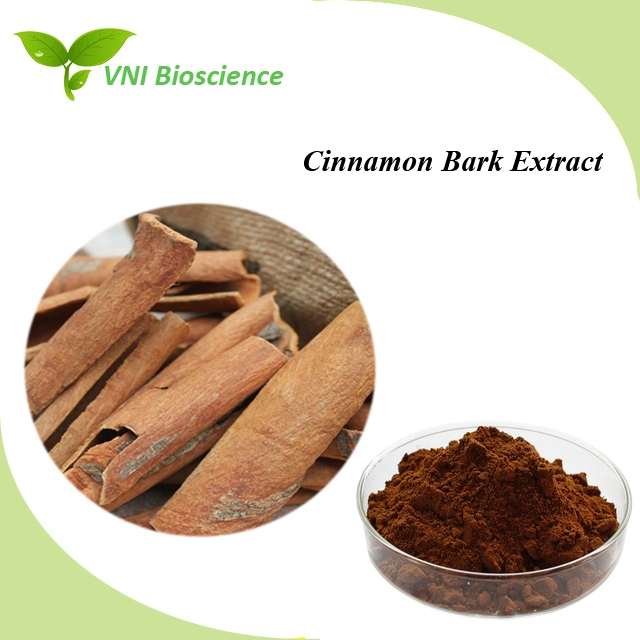 Kosher Halal Certified Natural Cinnamomum Zeylanicum Extract Cinnamon Extract