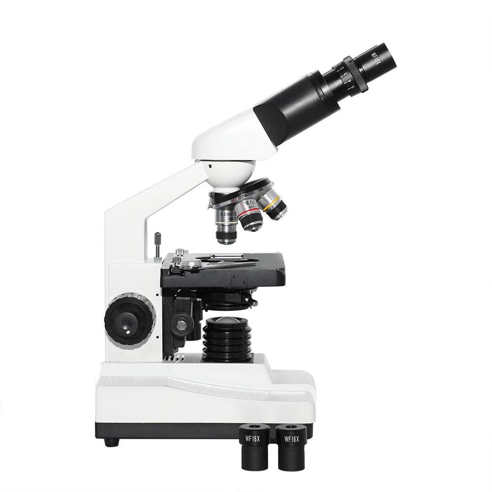 XP202 40X 100X 400X 1000X 1600X Binocular Biological Microscope LED Light Student