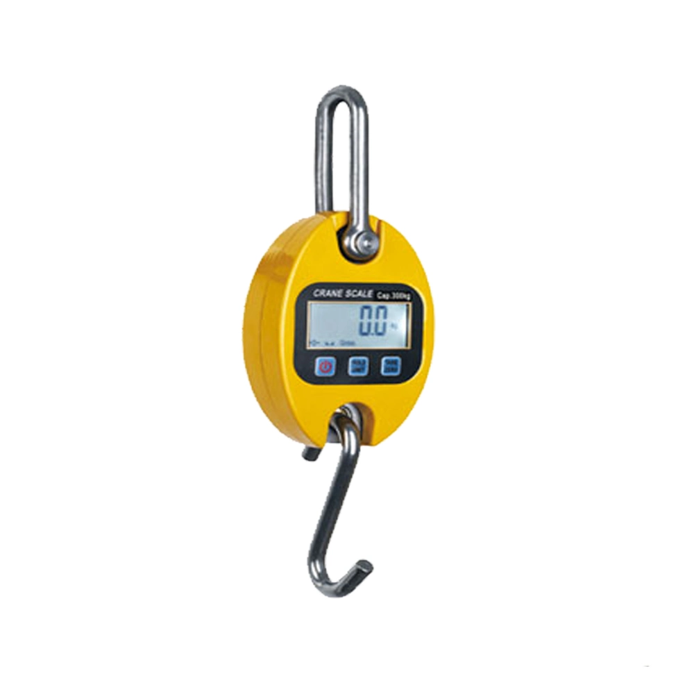 Portable Digital Small Weighing Crane Scale