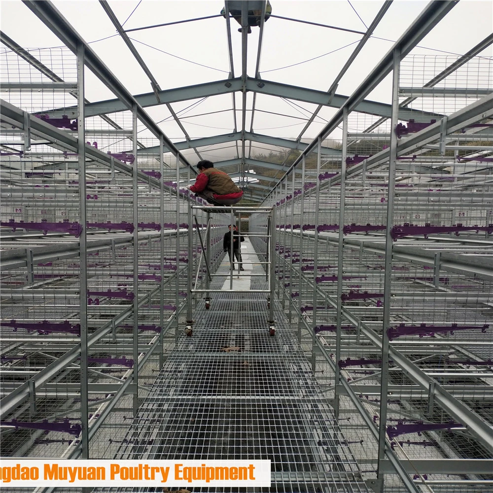 Automatic Feeding System Chicken Cage/Full Automatic Poultry Battery Cages Used for Laying Hens