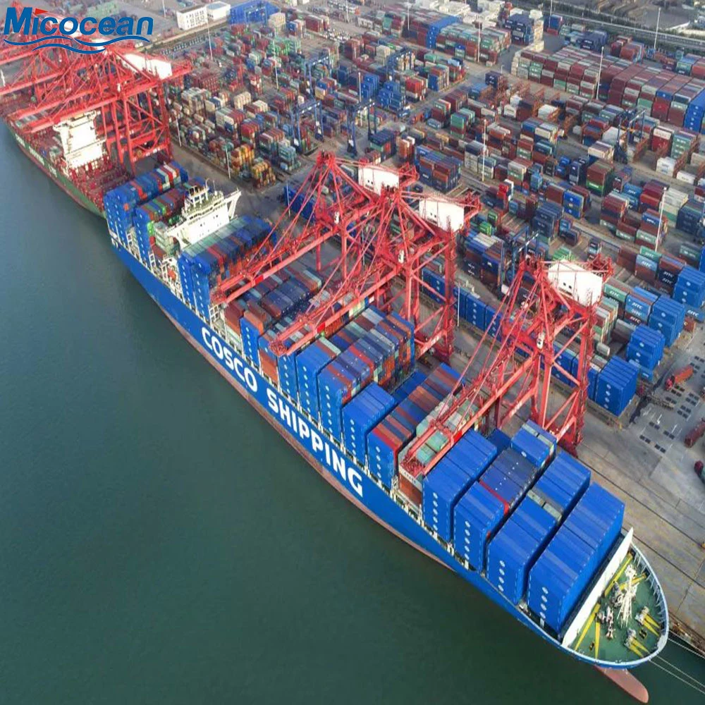 Professional Logistic Service Customs Clearance Sea Shipping From China to Thailand