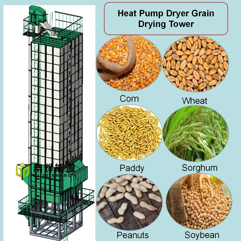 Máquina de Secador de arroz Equipamento de secagem de grãos da Paddy Dryer