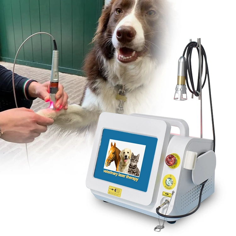 Venda a quente Fisioterapia Equipamentos 980nm Pet Animal cuidados veterinários a máquina a Laser